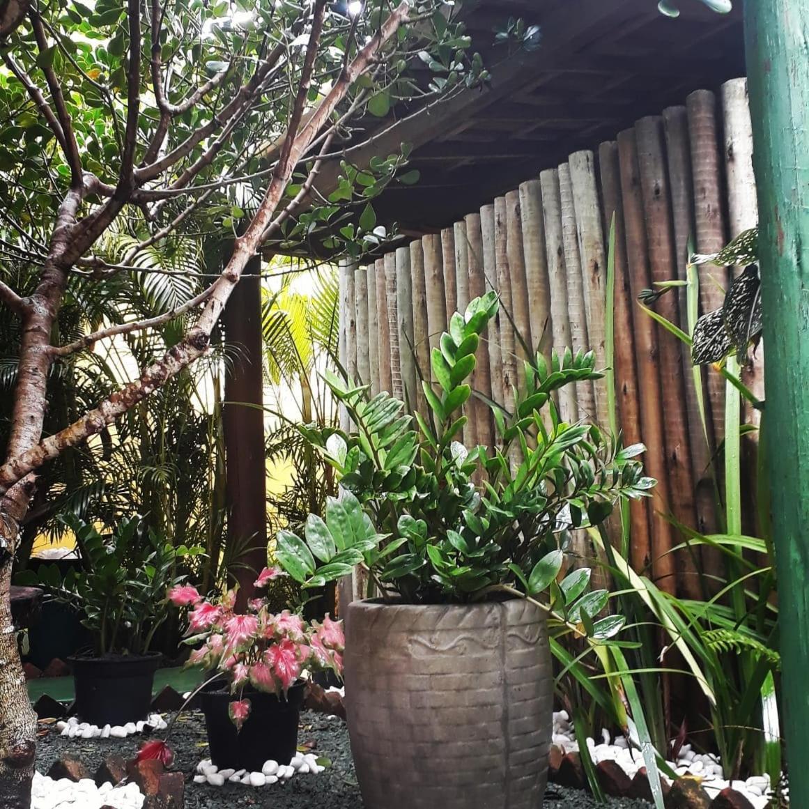 Pousada Corais Do Sul Caraíva 外观 照片